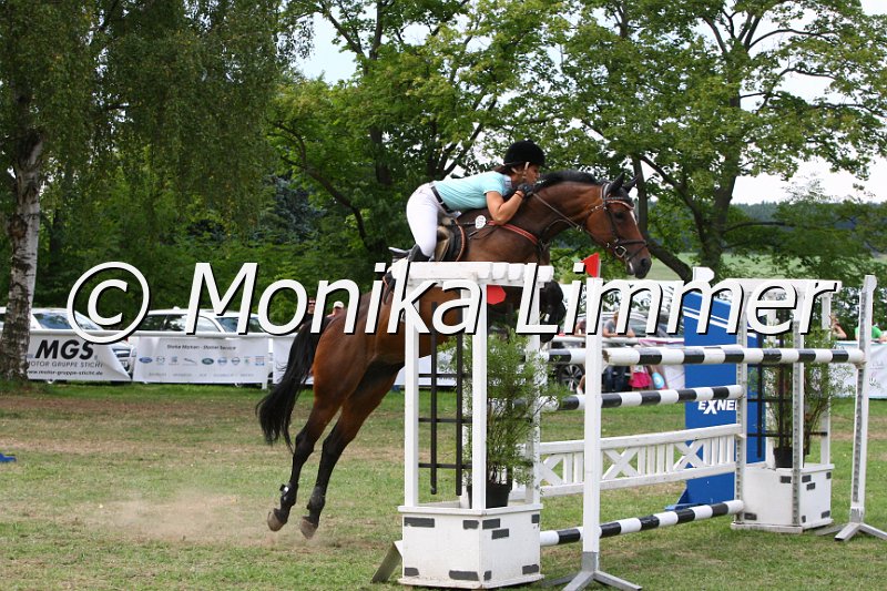 308M3973_Rockn Rose_Zwei Phasen Sx.JPG